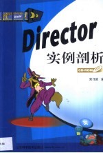 Director实例剖析