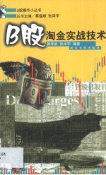 B股淘金实战技术