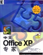 中文Office XP专家