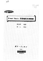 Visual Basic高级编程实例精解