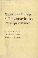 MOLECULAR BIOLOGY OF POLYOMAVIRUSES AND HERPESVIRUSES