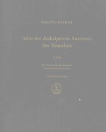 SOBOTTA BECHER ATLAS DER DESKRIPTIVEN ANATOMIE DES MENSCHEN