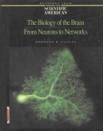 THE BIOLOGY OF THE BRAIN FROM NEURONS TO NETWORKS