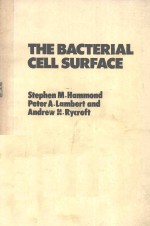 THE BACTERIAL CELL SURFACE