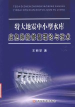 特大地震中小型水库应急除险修复理论与技术