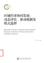 区域经济协同发展 动态评估、驱动机制及模式选择