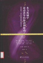 水力机械中流动诱导的脉动和振动 项目规划、设计和故障诊断工程师手册