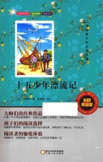 中国青少年必读名著 15 少年漂流记 彩色美绘版