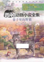 巷子里的野猫