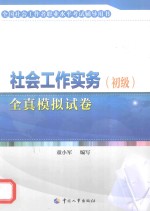 社会工作实务 初级 全真模拟试卷