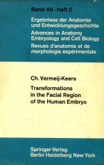 TRANSFORMATIONS IN THE FACIAL REGION OF THE HUMAN EMBRYO