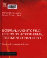 external magnetic field effects on hydrothermal treatment of nanofluid numerical and analytical stud