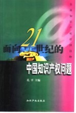 面向21世纪的中国知识产权问题