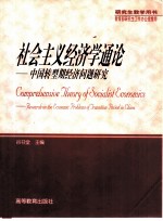 社会主义经济学通论 中国转型期经济问题研究