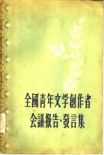 全国青年文学创作者会议报告、发言集