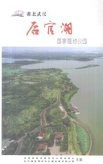 后官湖 国家湿地公园 湖北武汉