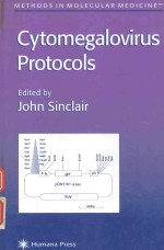 CYTOMEGALOVIRUS PROTOCOLS