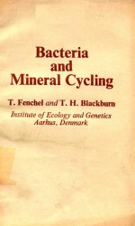 BACTERIA AND MINERAL CYCLING