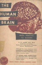 THE HUMAN BRAIN FROM PRIMITIVE TO MODERN