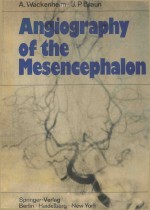 ANGIOGRAPHY OF THE MESENCEPHALON