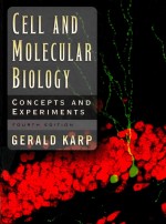 CELL AND MOLECULAR BIOLOGY CONCEPTS AND EXPERIMENTS FOURTH EDITION