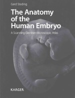 THE ANATOMY OF THE HUMAN EMBRYO A SCANNING ELECTRON MICROSCOPIC ATLAS