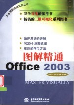 图解精通Office 2003