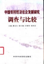 中国农村经济社会发展研究  调查与比较