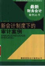 新会计制度下的审计案例