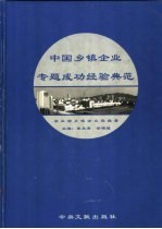 中国乡镇企业专题成功经验典范 上