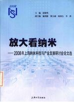 放大看纳米 2008年上海纳米科技与产业发展研讨会论文选