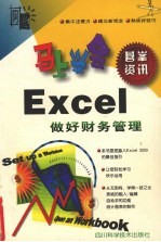 马上学会Excel 2000做好财务管理