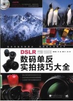 DSLR数码单反实拍技巧大全