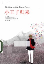 小王子归来 插图版