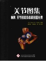 关节图集 MR、关节镜和外科解剖图片集 2版