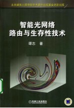 智能光网络路由与生存性技术