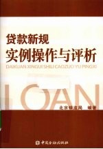 贷款新规实例操作与评析