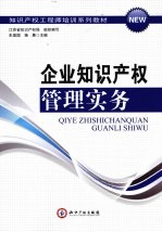 企业知识产权管理实务