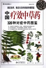 中国疗效中草药  320种对症中草药图鉴