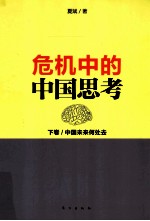 危机中的中国思考 下 中国未来何处去