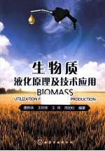 生物质液化原理及技术应用