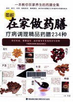 图解在家做药膳 疗病调理精品药膳234种