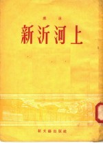 小说 新沂河上