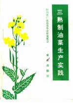 三熟制油菜生产实践