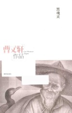 曹文轩作品  黑魂灵