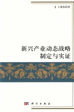 新兴产业动态战略制定与实证