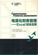 电算化财务管理 Excel综合应用