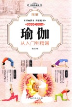 图解瑜伽 从入门到精通 彩图典藏版