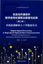 高速光纤通信中数字信号处理算法原理与应用  第2卷  多载波调制和人工智能新技术