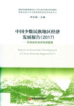 中国少数民族地区经济发展报告 2017版